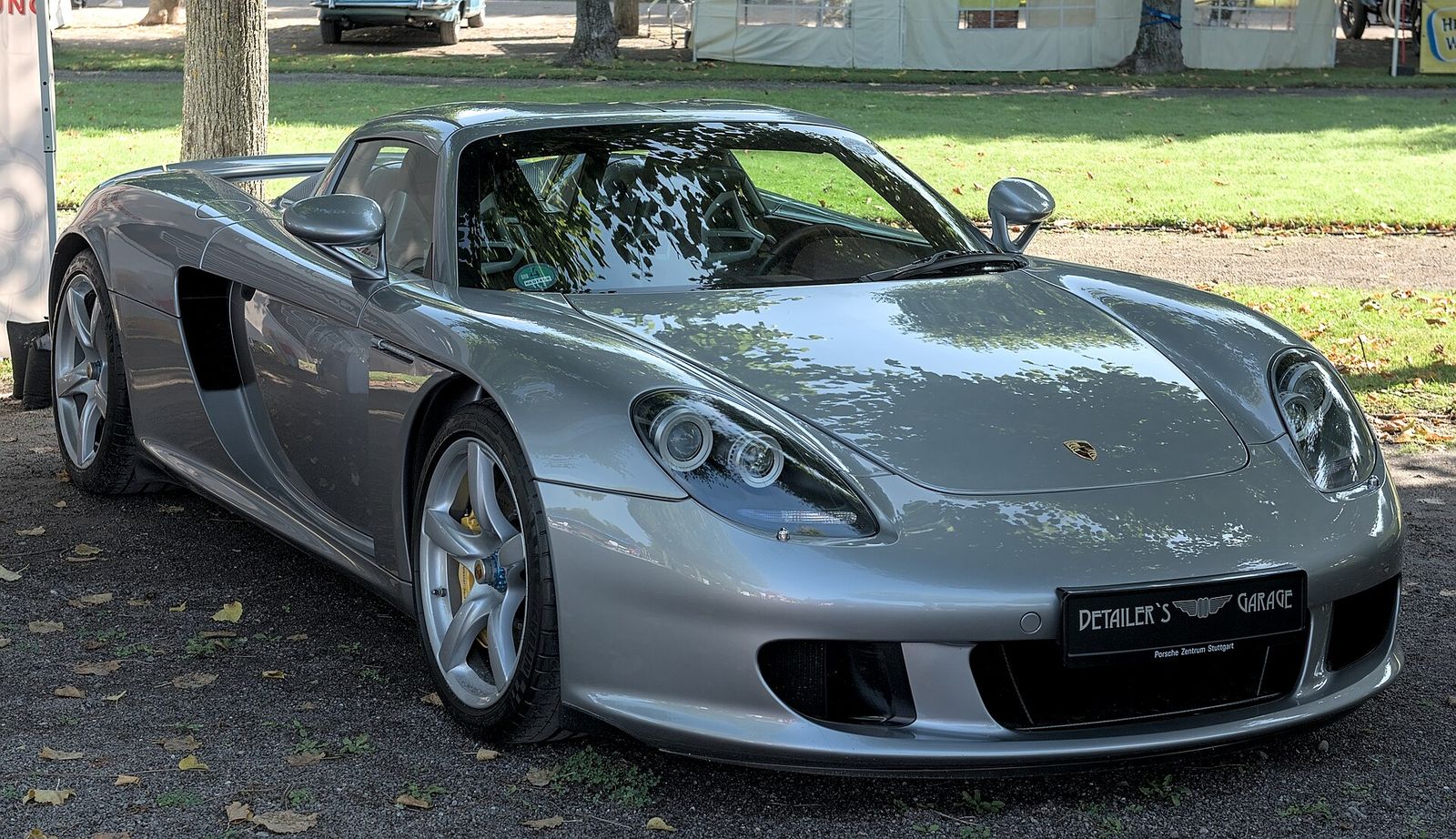 Silver Porsche Carrera GT parked on grass at a classic car show